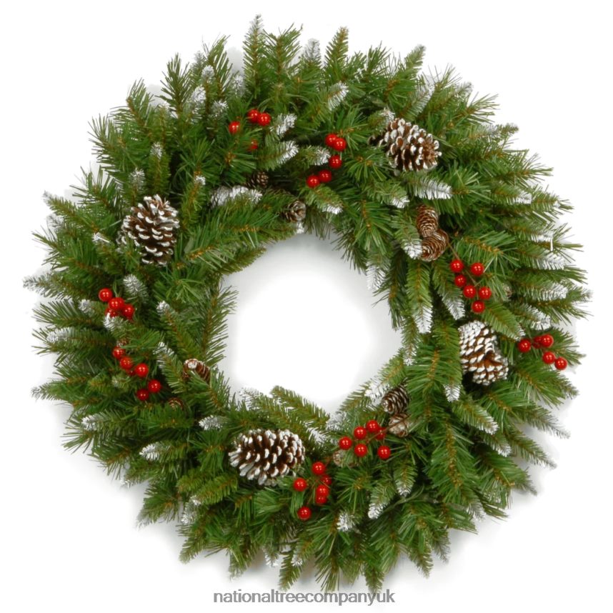 Greenery | National Tree Company 24in Frosted Berry Wreath F2L4F268